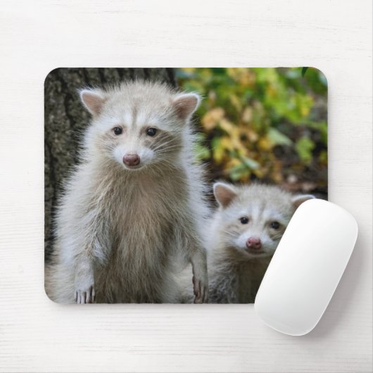 最も可愛い赤ん坊の動物 | Young Blonde Raccoons マウスパッド (マウス)