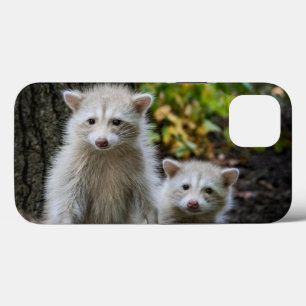 最も可愛い赤ん坊の動物 Young Blonde Raccoons iPhone 13ケース
