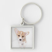 最も可愛い赤ん坊の動物 | Young Corgi Puppy キーホルダー (正面)