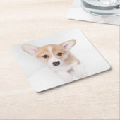 最も可愛い赤ん坊の動物 | Young Corgi Puppy スクエアペーパーコースター (アングル)