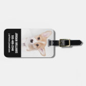 最も可愛い赤ん坊の動物 | Young Corgi Puppy ラゲッジタグ (正面横)