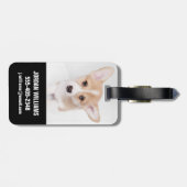 最も可愛い赤ん坊の動物 | Young Corgi Puppy ラゲッジタグ (裏面横)
