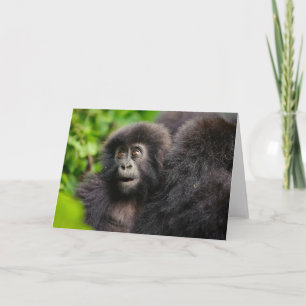 最も可愛い赤ん坊の動物 Young Mountain Gorilla カード
