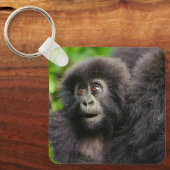最も可愛い赤ん坊の動物 | Young Mountain Gorilla キーホルダー (正面)