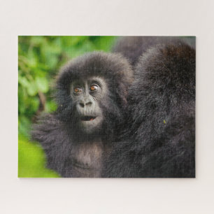 最も可愛い赤ん坊の動物 Young Mountain Gorilla ジグソーパズル