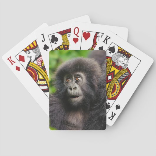 最も可愛い赤ん坊の動物 | Young Mountain Gorilla トランプ (裏面)
