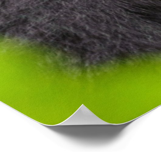 最も可愛い赤ん坊の動物 | Young Mountain Gorilla ポスター (角)