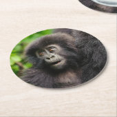 最も可愛い赤ん坊の動物 | Young Mountain Gorilla ラウンドペーパーコースター (アングル)