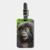 最も可愛い赤ん坊の動物 | Young Mountain Gorilla ラゲッジタグ (正面縦)
