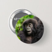 最も可愛い赤ん坊の動物 | Young Mountain Gorilla 缶バッジ (正面&裏面)