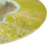 最も可愛い赤ん坊の動物 | Young Sheep カッティングボード (角)