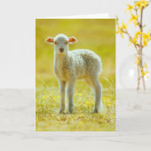 最も可愛い赤ん坊の動物 | Young Sheep カード (黄色い花)