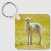 最も可愛い赤ん坊の動物 | Young Sheep キーホルダー (正面)