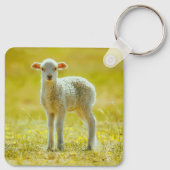 最も可愛い赤ん坊の動物 | Young Sheep キーホルダー (裏面)