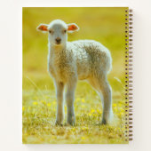 最も可愛い赤ん坊の動物 | Young Sheep ノートブック (裏面)
