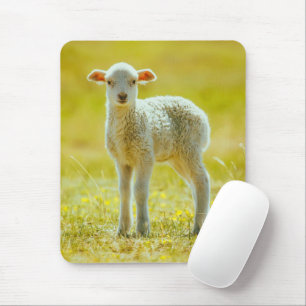 最も可愛い赤ん坊の動物 Young Sheep マウスパッド