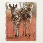 最も可愛い赤ん坊の動物 | Young Zebras社2社 プランナー手帳 (正面)