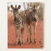 最も可愛い赤ん坊の動物 | Young Zebras社2社 プランナー手帳 (裏面)