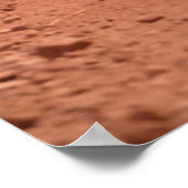 最も可愛い赤ん坊の動物 | Young Zebras社2社 ポスター (角)