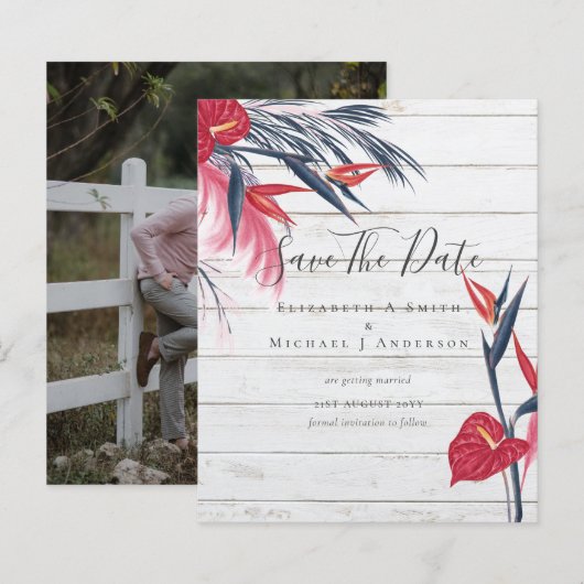 最も安い写真の日救付パンパスグラス熱帯 (正面/裏面)