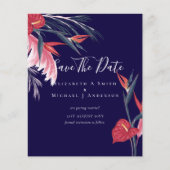 最も安い写真の日救付パンパスグラス熱帯 (正面)