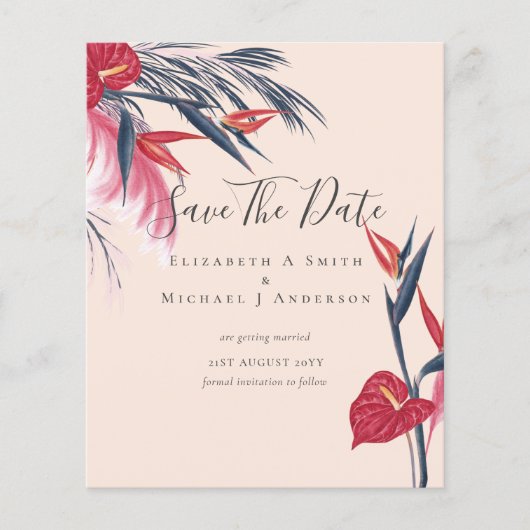 最も安い写真の日救付パンパスグラス熱帯 チラシ (正面)