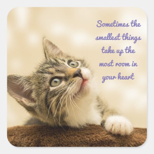 最も小さいもの スクエアシール (正面)