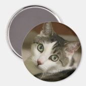 最も小さいタイガーボタン マグネット (正面/裏面)