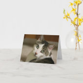 最も小さいトラのメッセージカード カード (黄色い花)