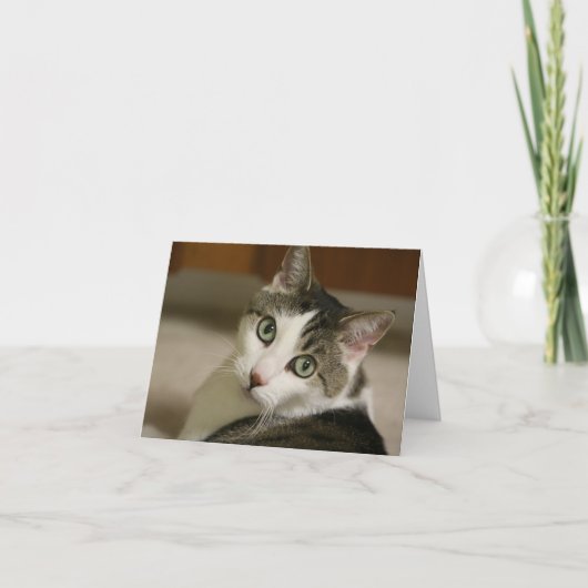 最も小さいトラのメッセージカード カード (正面)