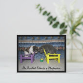 最も小さい猫は最高傑作 ポストカード (スタンド正面)