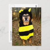 最も悲しい蜂の郵便はがき ポストカード (正面/裏面)