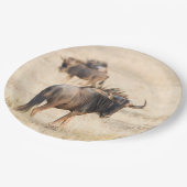 最も意志の強いグループ ペーパープレート (アングル)