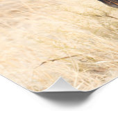 最も意志の強いグループ ポスター (コーナー)