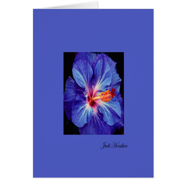 最も擦り切れたな色のPeriwinkle~One (正面)