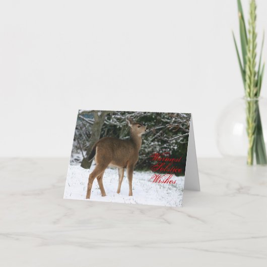 最も暖かい至は挨拶状を望みます シーズンカード (正面)