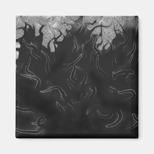 最も暗いネジ マグネット (正面)