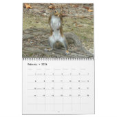 最も最高のなリスの写真 カレンダー (2月 2026)