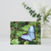 最も最高のな日を望んで下さい! ポストカード (スタンド正面)