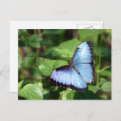 最も最高のな日を望んで下さい! ポストカード (正面/裏面)