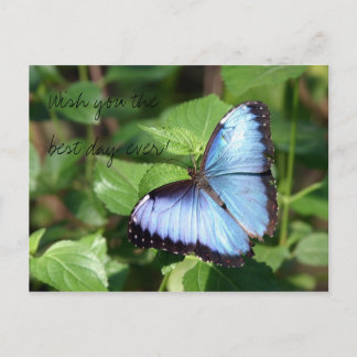 最も最高のな日を望んで下さい! ポストカード