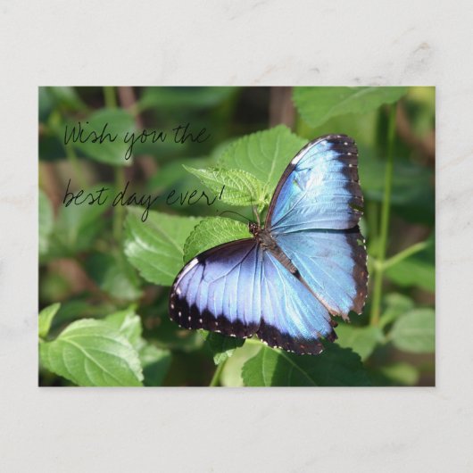 最も最高のな日を望んで下さい! ポストカード (正面)