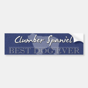 最も最高のな犬のClumberスパニエル犬のバンパーステッカー バンパーステッカー