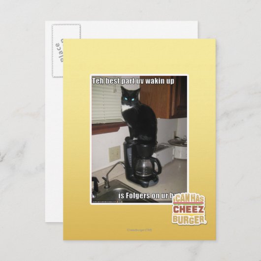 最も最高のな部分の紫外線wakin ポストカード (正面/裏面)