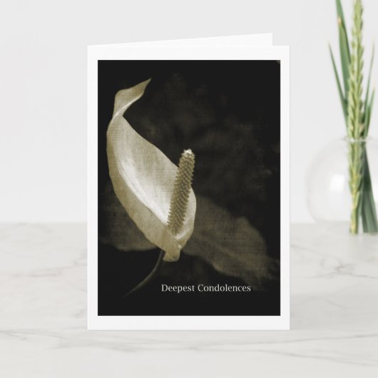 最も深い哀悼の意 カード (正面)