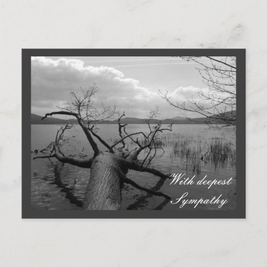 最も深い悔やみや弔慰で ポストカード (正面)