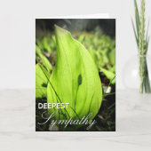 「最も深い悔やみや弔慰」コケとハマグウッドのカード カード (正面)