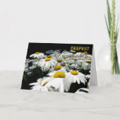 「最も深い悔やみや弔慰」デイジーカード カード (正面)