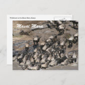 最も激しい登山 ポストカード (正面/裏面)