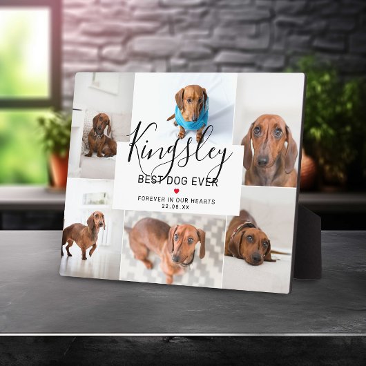 最も素敵な犬 | フォトコラージュ ペットの喪失 フォトプラーク